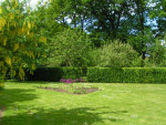 Grasveld